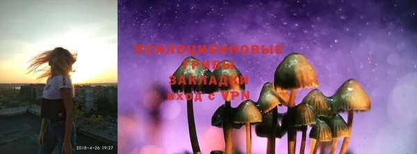 герыч Медногорск