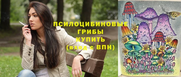 МДМА Медвежьегорск