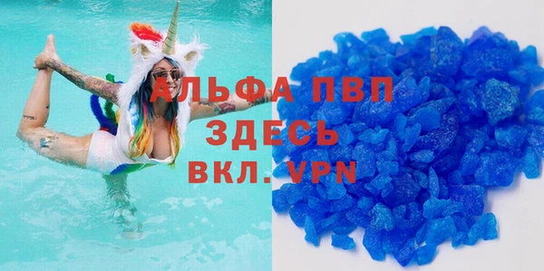 гидра Магас