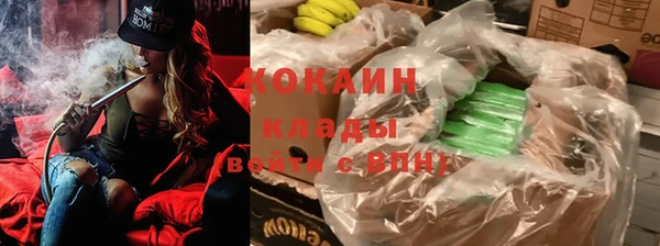 гидра Мегион