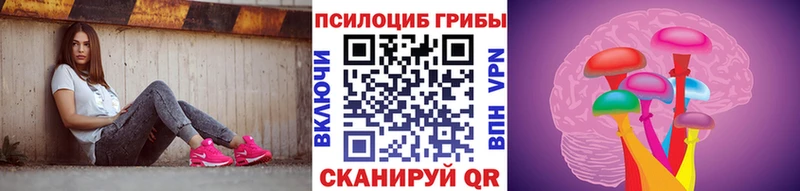 цены   Энем  Галлюциногенные грибы мицелий 