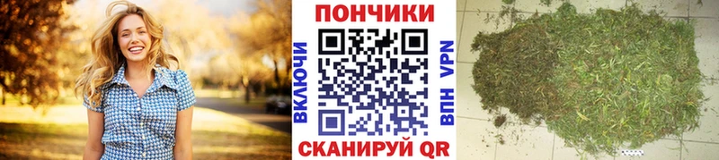 Бошки Шишки White Widow  Энем 